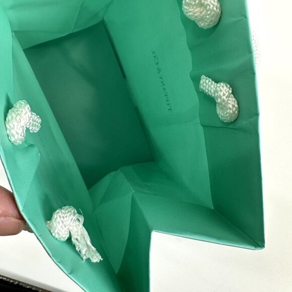 Tiffany & Co. Small Bag - Picture 9 of 10